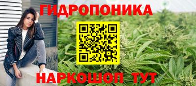прущие крисы Донецк