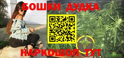 прущие крисы Донецк