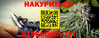 молекула духа Донской