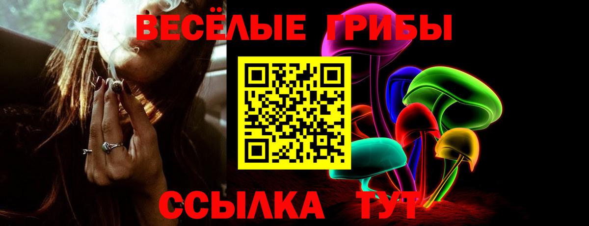 купить закладку  Псилоцибиновые грибы мухоморы  Вход с VPN  Галлюциногенные грибы Cubensis  Саров 